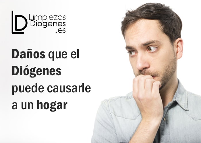 Daños que el Diógenes puede causarle a un hogar