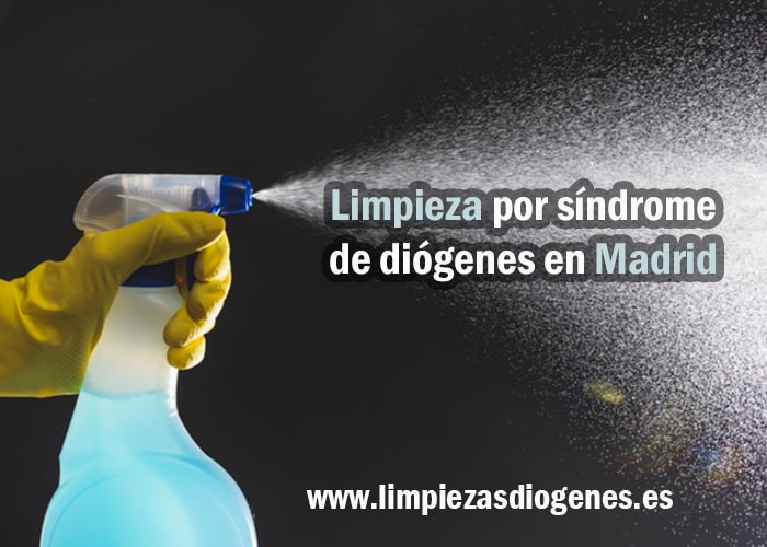 Limpieza por síndrome de Diógenes en Madrid